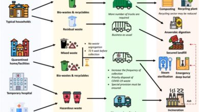 creating-balance-with-waste-management-and-sustainable-practices