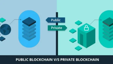 public-vs-private-blockchain:-which-one-is-right-for-you?-exploring-with-cryptotact