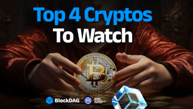 top-cryptos-to-watch-now-with-strong-fundamentals-and-low-entry-points:-bdag,-hype,-trx,-&-doge!