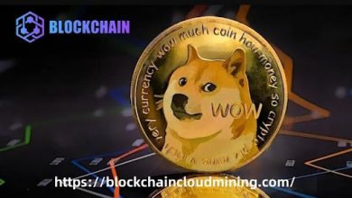 dogecoin-holders-are-discovering-new-profit-opportunities-through-blockchain-cloud-mining.