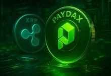market-expert:-the-xrp-price-will-rise-50%-soon,-but-only-this-new-altcoin-will-make-you-rich